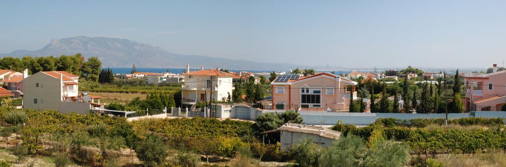 Kostas Family House Apartment Kato Assos Exterior photo